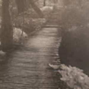 Meet your Posher, Lysander